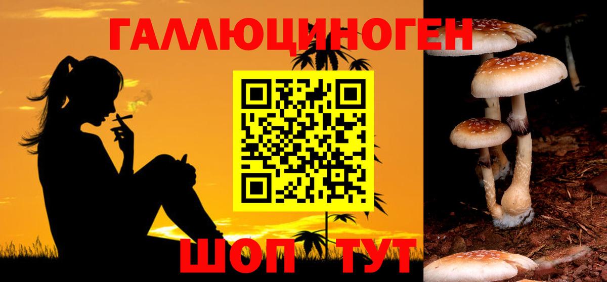 Псилоцибиновые грибы ЛСД Туапсе